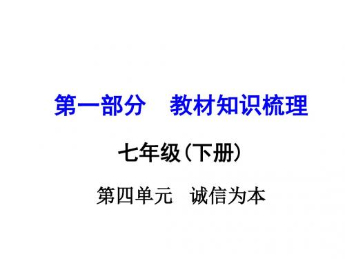 中考政治(湘教版)七下教材知识梳理：第四单元 (23张)