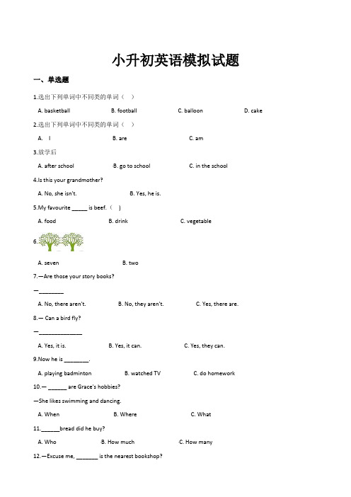 译林版三起2020年小升初英语模拟试题(含答案)