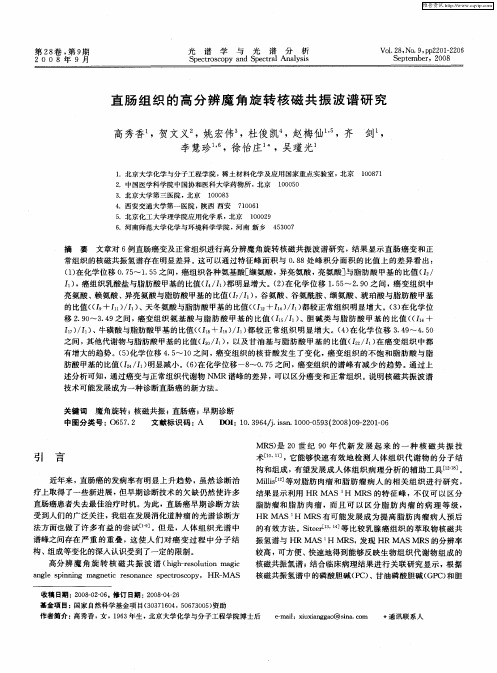 直肠组织的高分辨魔角旋转核磁共振波谱研究