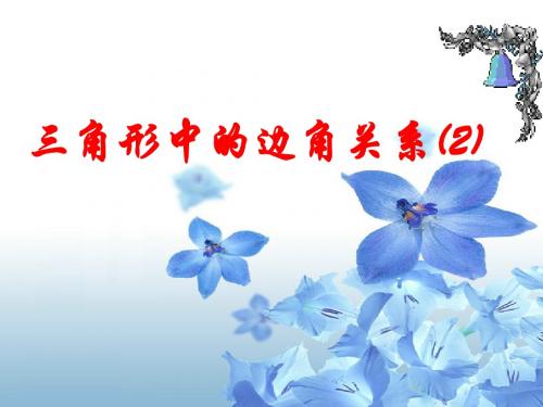 沪科版八年级上册 13.1 三角形的边角关系(2) 课件(共21张PPT)