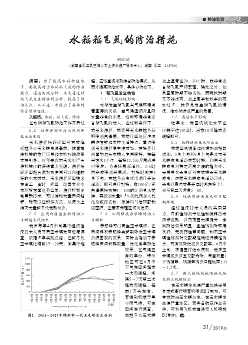 水稻稻飞虱的防治措施