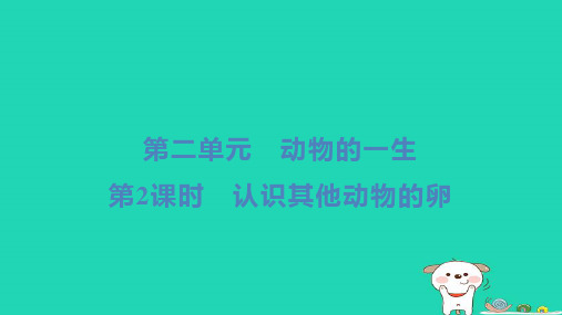 三年级科学下册第二单元动物的一生第2课时认识其他动物的卵小册习题教科版