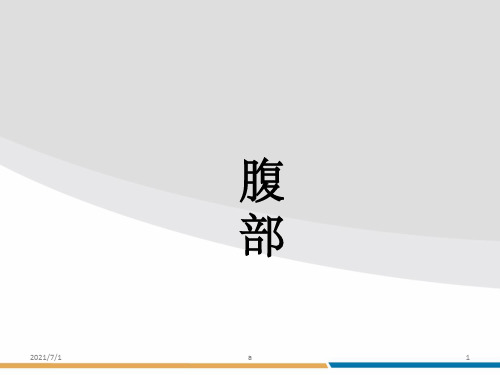 《局部解剖学腹部》PPT课件