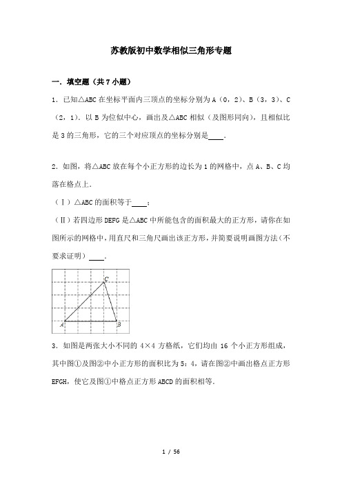 苏教版初中数学相似三角形专题有答案有解释