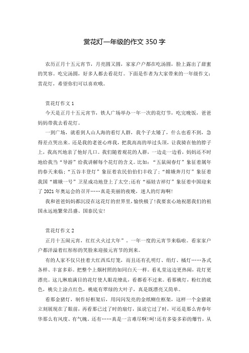 赏花灯一年级的作文350字