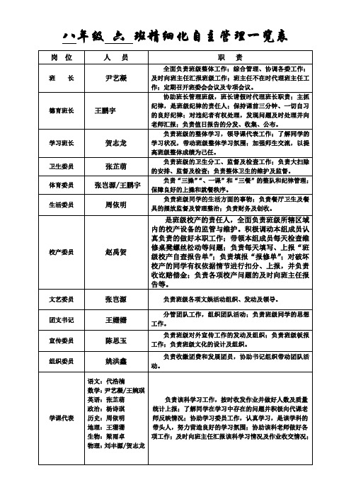 8.6班级精细化管理一览表