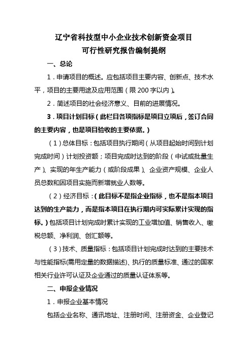 辽宁省科技型中小企业技术创新资金项目