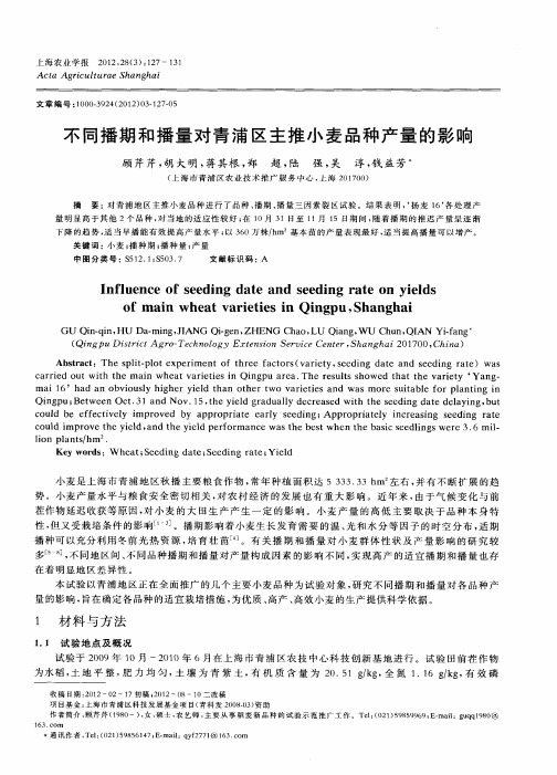 不同播期和播量对青浦区主推小麦品种产量的影响