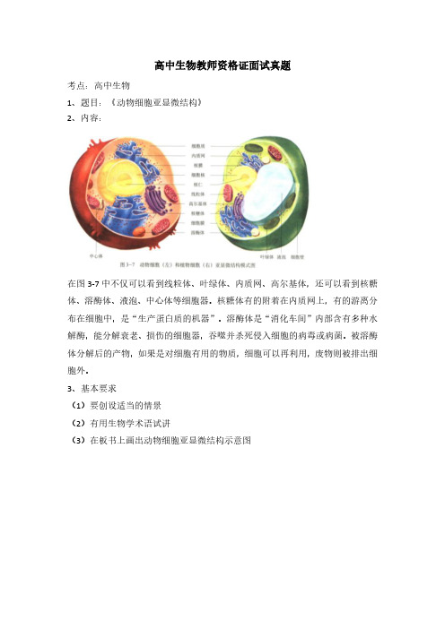 高中生物教师资格证面试真题