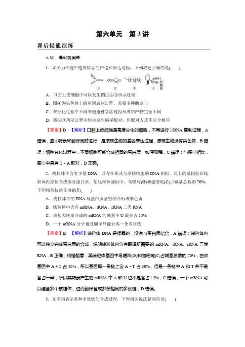 新高考生物人教版一轮复习课后练习第6单元第3讲基因的表达