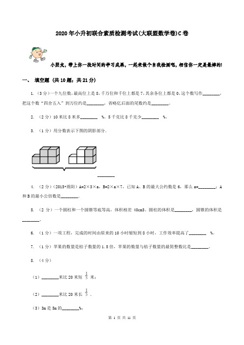 2020年小升初联合素质检测考试(大联盟数学卷)C卷