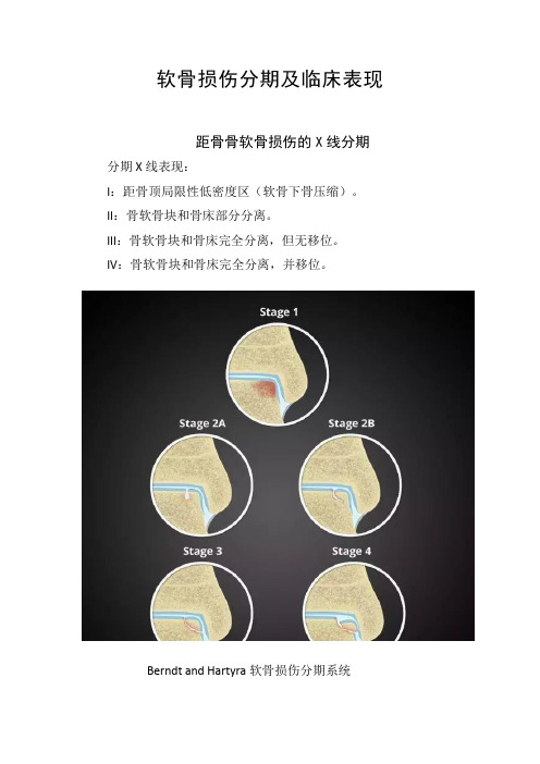 临床骨科软骨损伤分期及临床表现