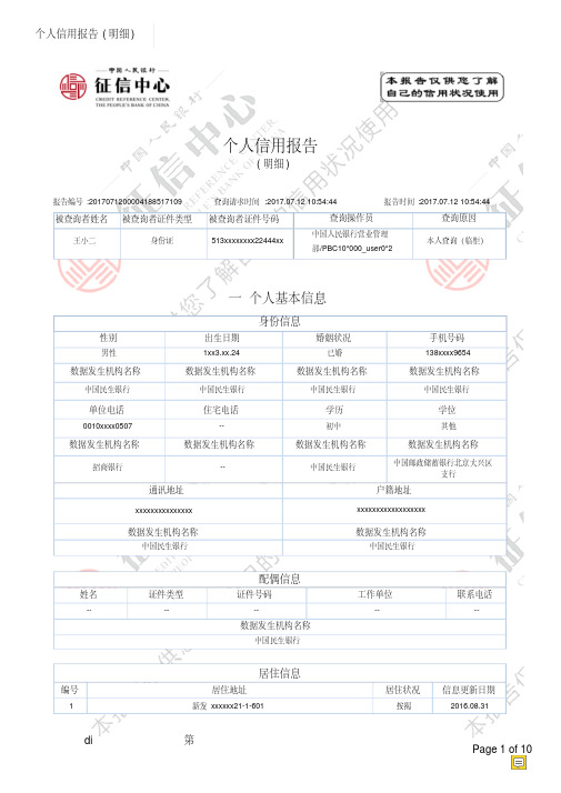 详细版征信报告模板PDF