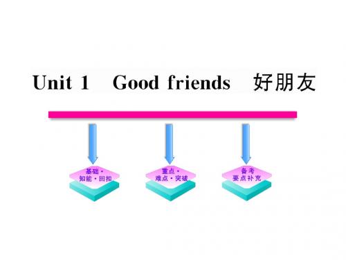 2012高中英语一轮复习精品课件(大纲版)：Unit1《Good friends》(高一)