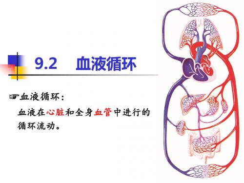 9.2血液循环(第一课时)