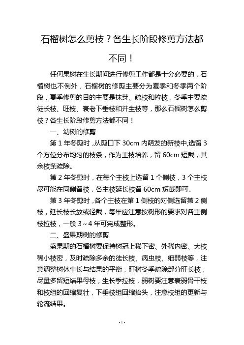 石榴树怎么剪枝？各生长阶段修剪方法都不同!