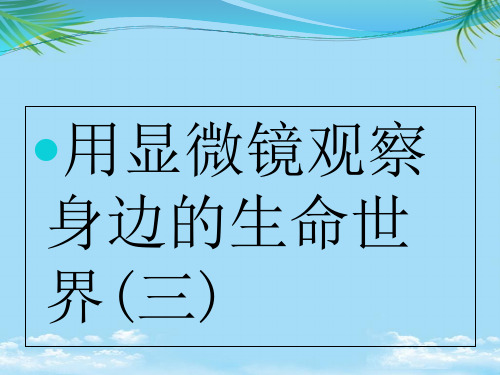 【优文档】用显微镜观察身边的生命世界(三)PPT