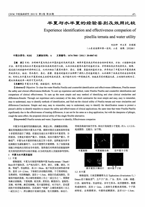 半夏与水半夏的经验鉴别及效用比较