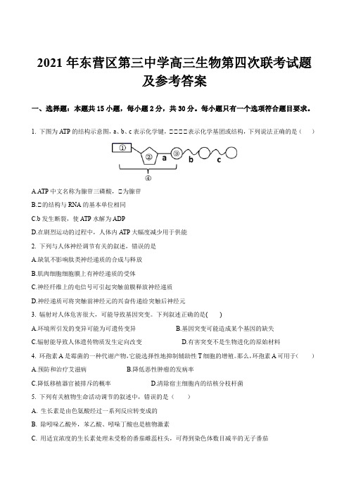 2021年东营区第三中学高三生物第四次联考试题及参考答案