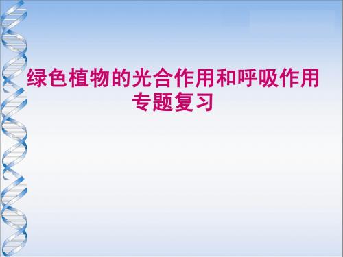 七年级生物绿色植物的光合作用和呼吸作用专题复习课件苏教版