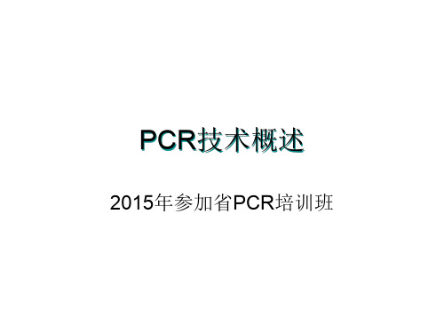 PCR技术概述