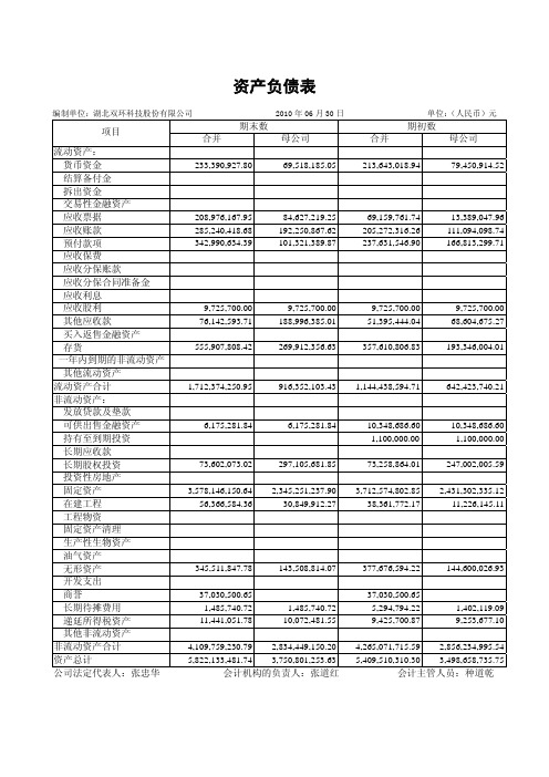 双环科技：2010年半年度财务报告 2010-08-07