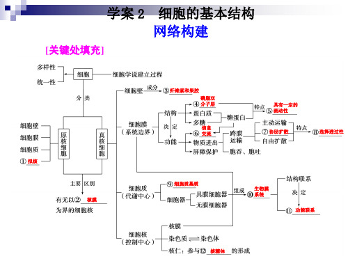 高考生物二轮专题复习课件：知识专题1学案2  细胞的基本结构PPT课件