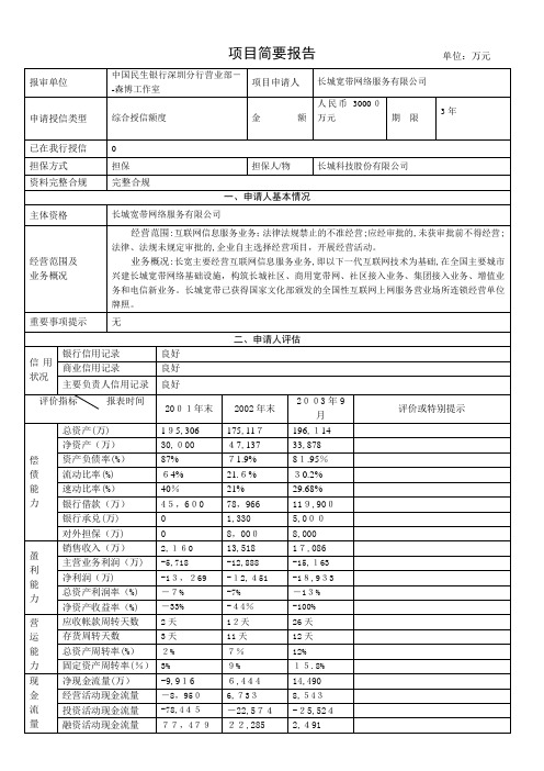 民生银行授信全套资料简要报告