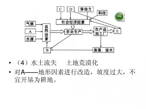 第二节以种植业为主的农业地域类型