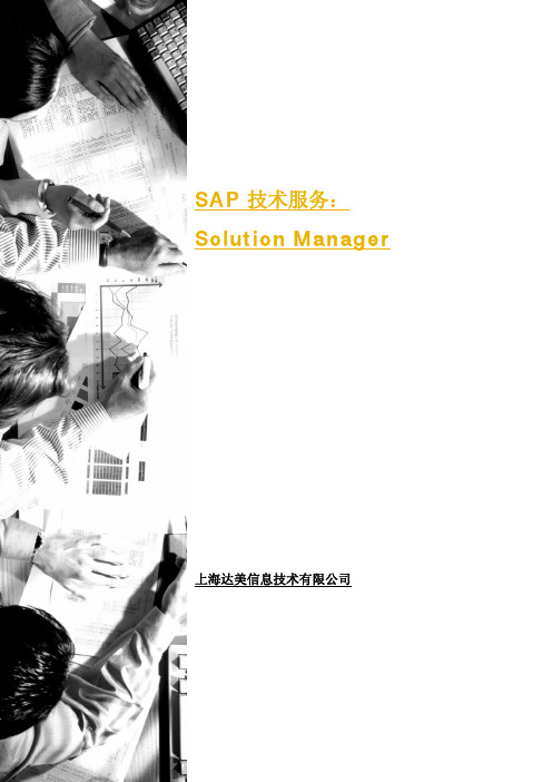 Solution Manager技术实施白皮书