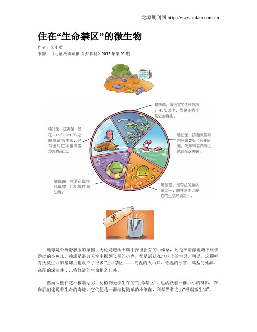 住在“生命禁区”的微生物