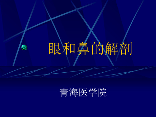 眼、鼻、口的解剖和在切面上的表现共46页文档