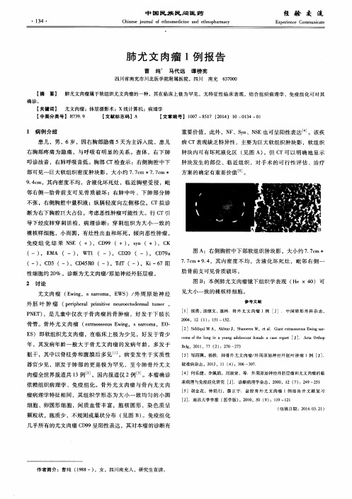 肺尤文肉瘤1例报告