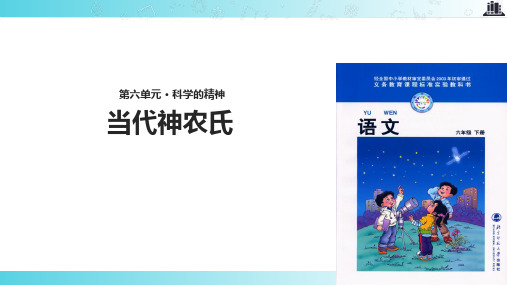 2021小学语文北师大版六年级下册《当代神农氏》.pptx教学课件