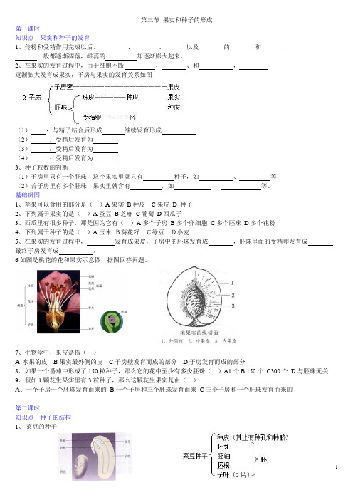 第三节 果实和种子的形成