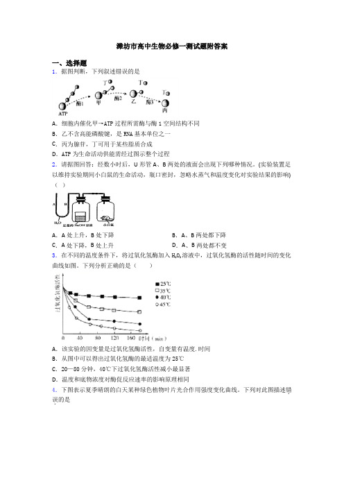 潍坊市高中生物必修一测试题附答案