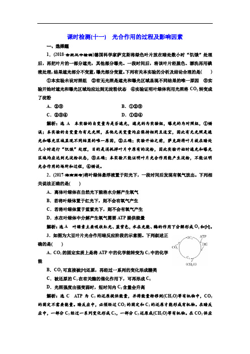 2020届高考全国卷人教版生物一轮复习课时检测(十一) 光合作用的过程及影响因素 Word版含解析