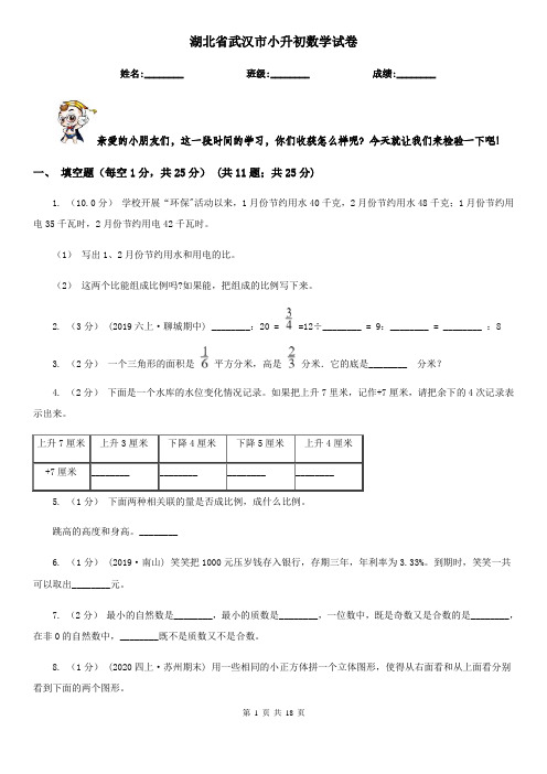 湖北省武汉市小升初数学试卷