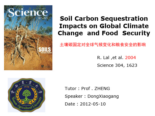 读书报告4土壤碳固定对全球气候变化和粮食安全的影响