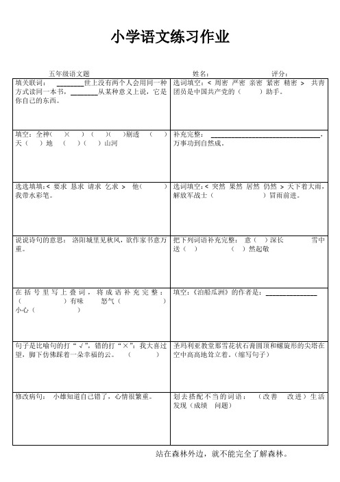 五年级语文课堂拓展精选练习III (91)