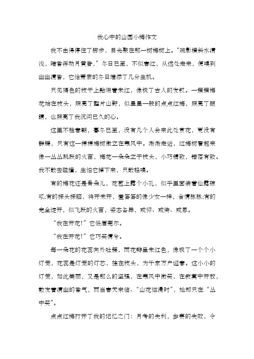 我心中的山园小梅作文