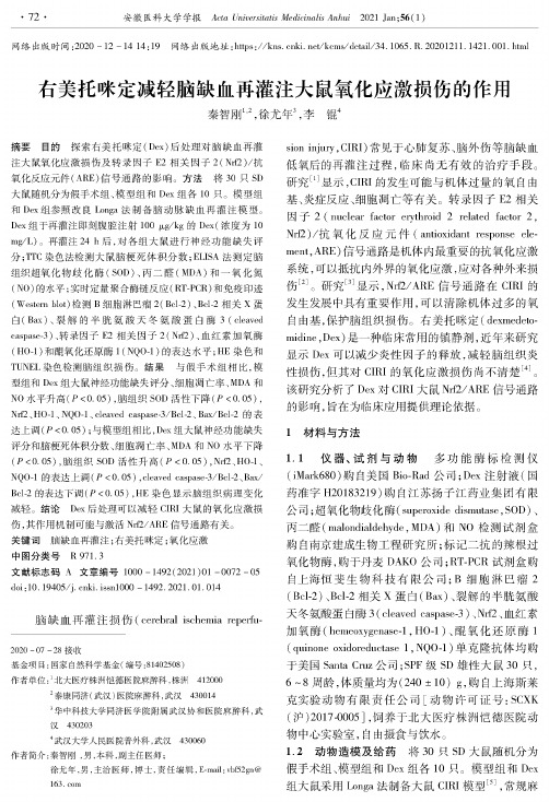 右美托咪定减轻脑缺血再灌注大鼠氧化应激损伤的作用