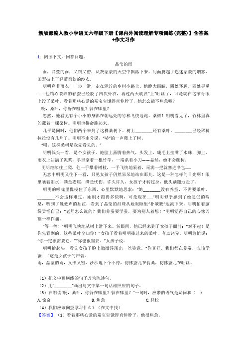 新版部编人教小学语文六年级下册【课内外阅读理解专项训练(完整)】含答案+作文习作