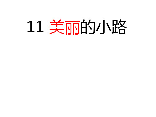 11 美丽的小路