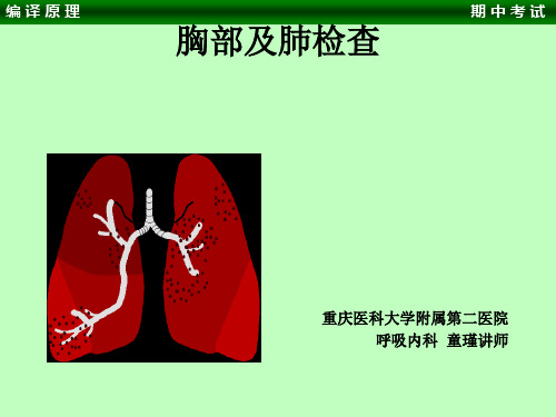 七年制胸部体格检查