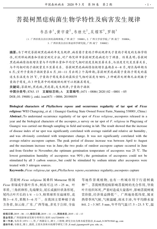 菩提树黑痣病菌生物学特性及病害发生规律
