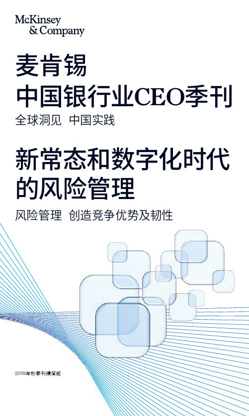 麦肯锡中国银行业CEO季刊：新常态和数字化时代的风险管理-2019.8-187页