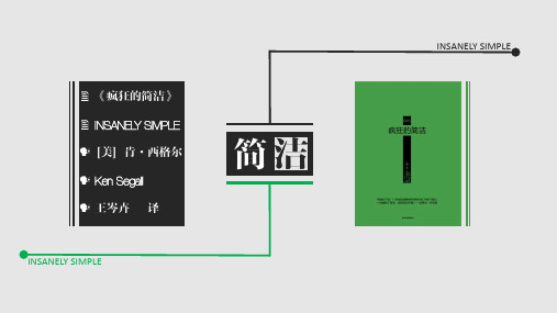 《疯狂的简洁》读书笔记ppt模板