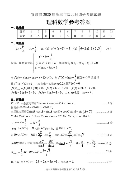 湖北省宜昌市2020届高三元调考试(期末)理科数学答案