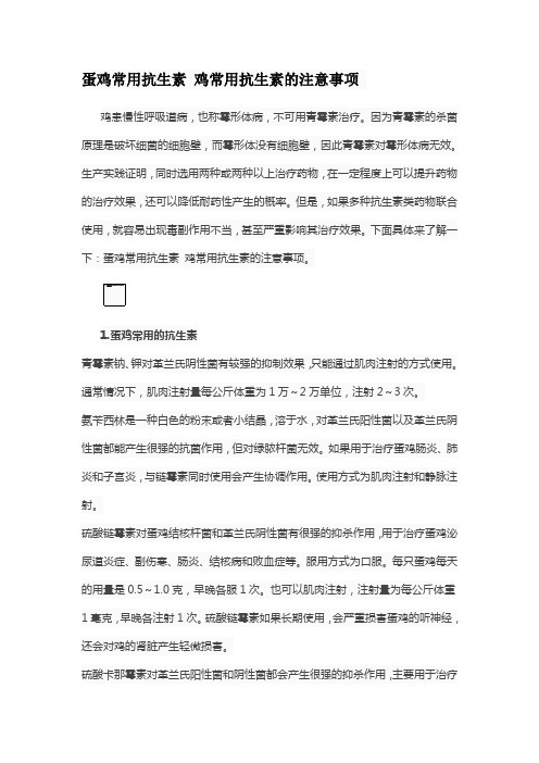 蛋鸡常用抗生素 鸡常用抗生素的注意事项